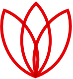 symbol tulipana, alternatywne logo fundacji